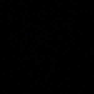 Meet your Posher, Destiny